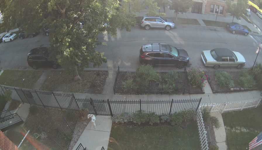 Reolink Camera Two_01_Reolink Home Hub One_20260914081807.jpg